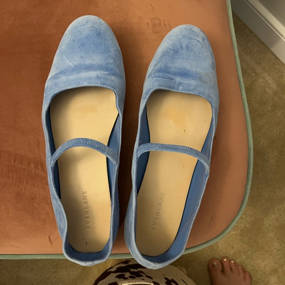 Light blue velvet pointed toe Everlane flats!
